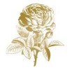 Stampila decorativa metalica - Trandafir Anna Griffin CO725293
